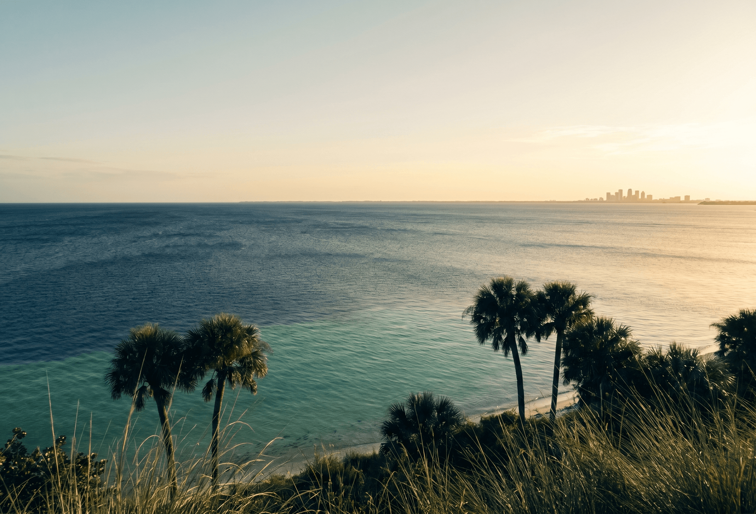 Why renewals are the cheapest revenue you'll ever earn